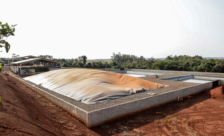 Suinocultor do Oeste do Paraná instala biodigestor e realiza o sonho de produzir com sustentabilidade