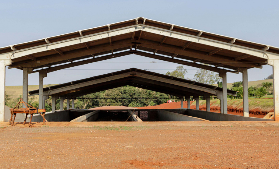 Suinocultor do Oeste do Paraná instala biodigestor e realiza o sonho de produzir com sustentabilidade