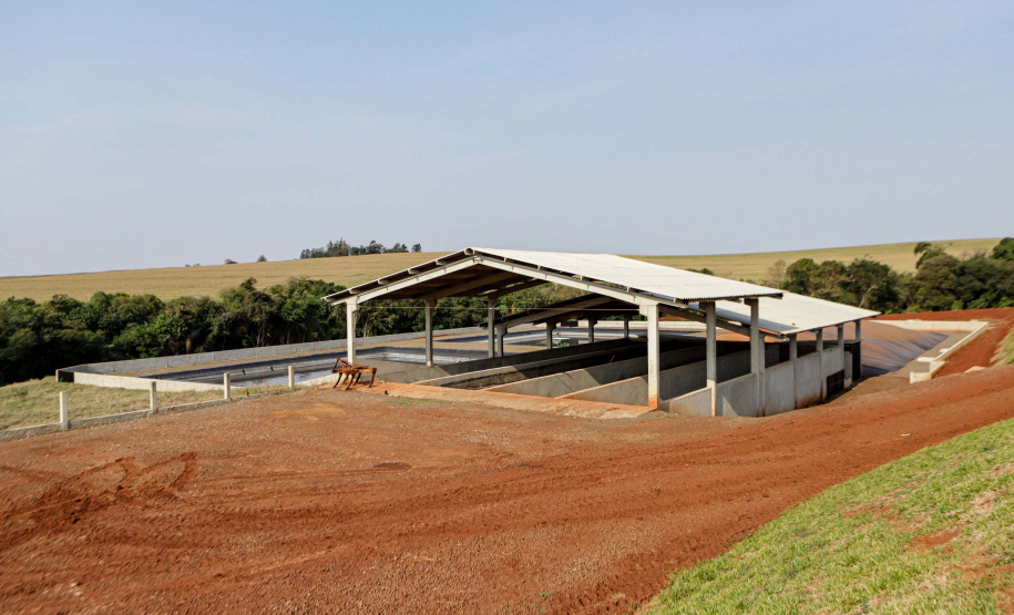 Suinocultor do Oeste do Paraná instala biodigestor e realiza o sonho de produzir com sustentabilidade