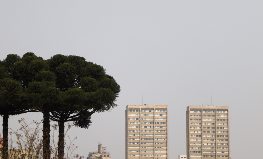 Estado de alerta: Paraná atinge momento mais crítico para casos de queimadas florestais
