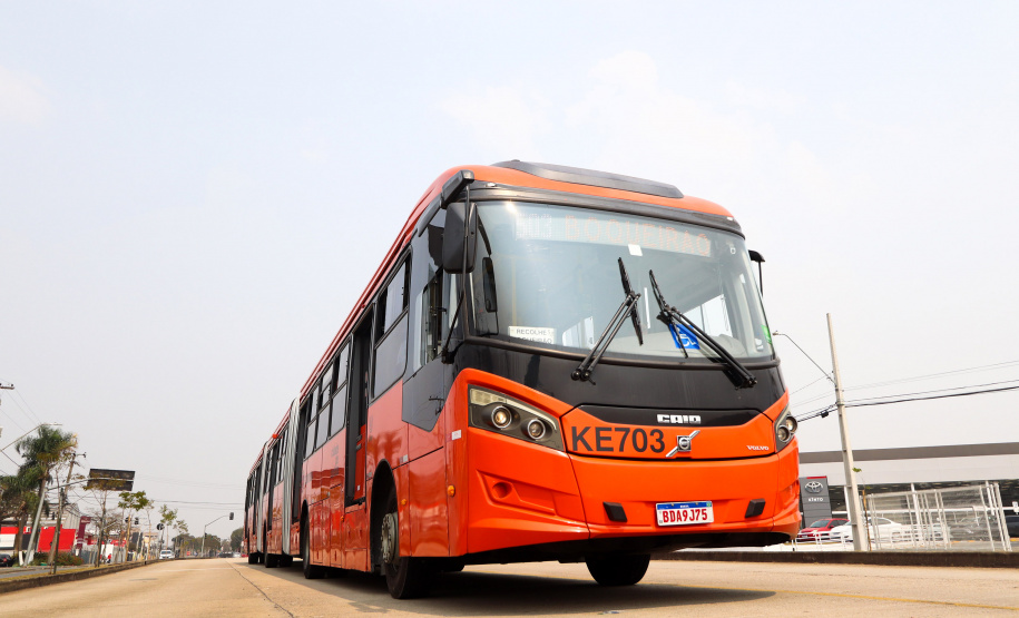 Estado de alerta: Paraná atinge momento mais crítico para casos de queimadas florestais