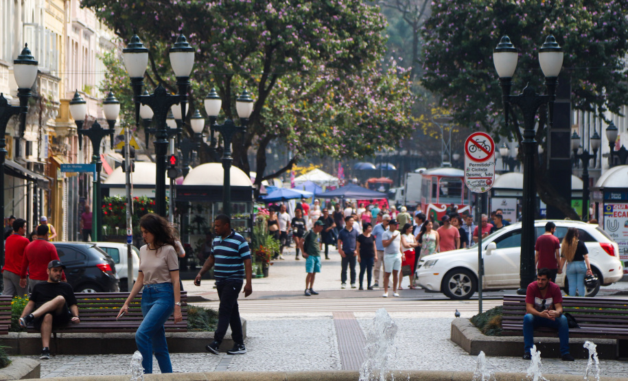 Estado de alerta: Paraná atinge momento mais crítico para casos de queimadas florestais