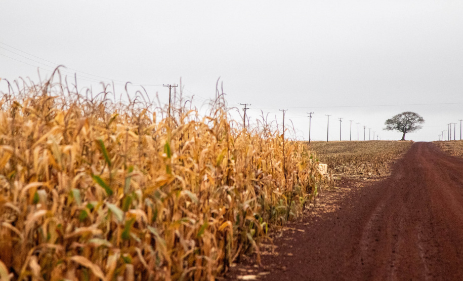 IAT e Incra formalizam parceria para regularizar assentamentos de reforma agrária no Paraná