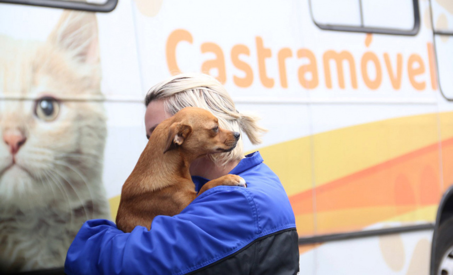 Programa Castrapet Paraná será retomado em novembro com o atendimento de mais de 35 mil animais, entre cães e gatos