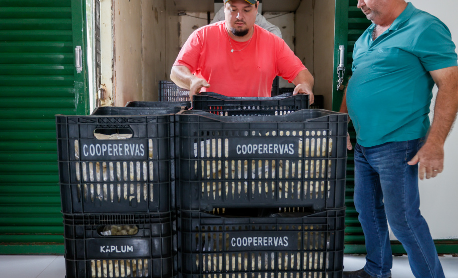 Cooperativa de Maringá adere à geração solar e reduz em 70% a conta de energia