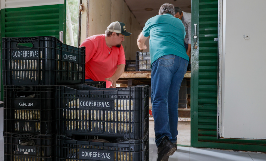 Cooperativa de Maringá adere à geração solar e reduz em 70% a conta de energia