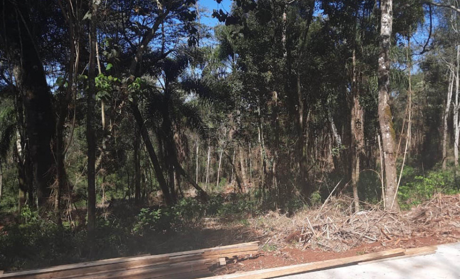 1ª Operação de Subdivisão de Imóvel Rural organizada pelo IAT termina com R$ 20,1 milhões em multa