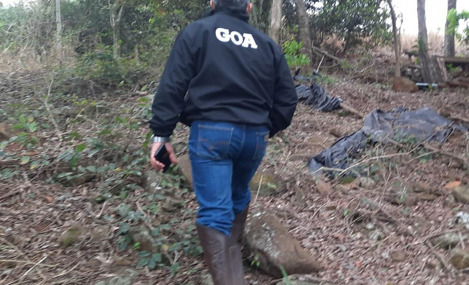 1ª Operação de Subdivisão de Imóvel Rural organizada pelo IAT termina com R$ 20,1 milhões em multa