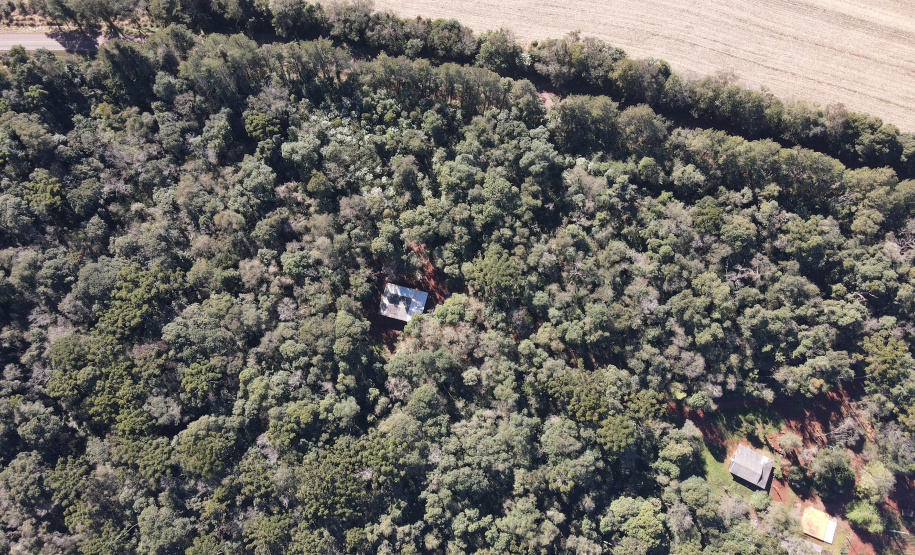 1ª Operação de Subdivisão de Imóvel Rural organizada pelo IAT termina com R$ 20,1 milhões em multa