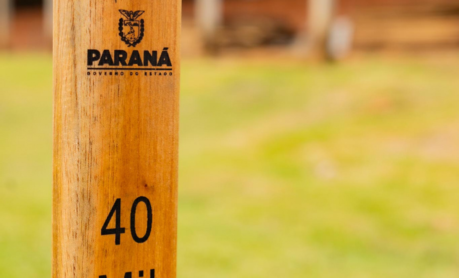 Em Irati, Educação lança projeto para o plantio de 40 mil mudas de árvores nativas