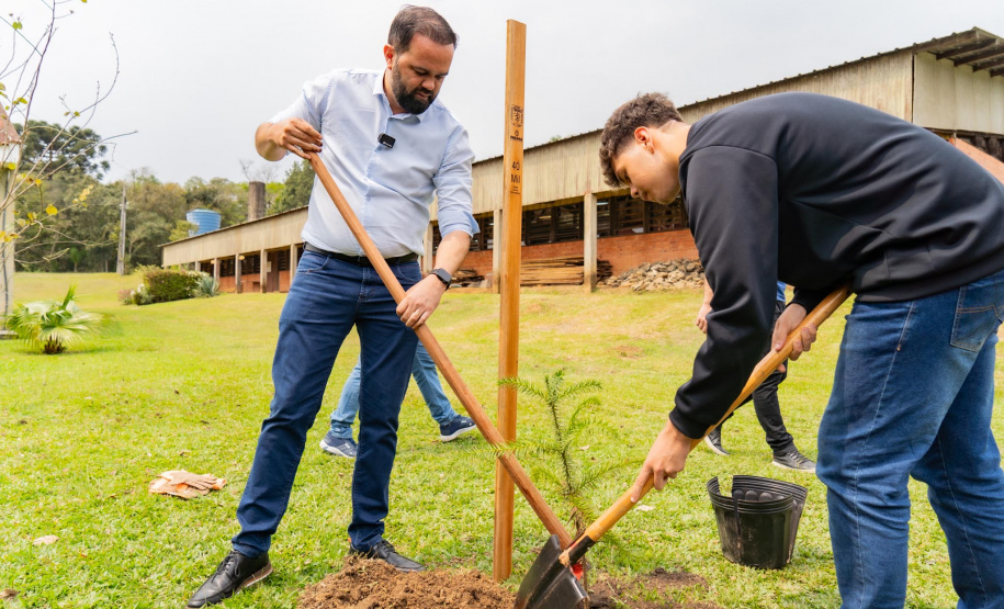 Em Irati, Educação lança projeto para o plantio de 40 mil mudas de árvores nativas