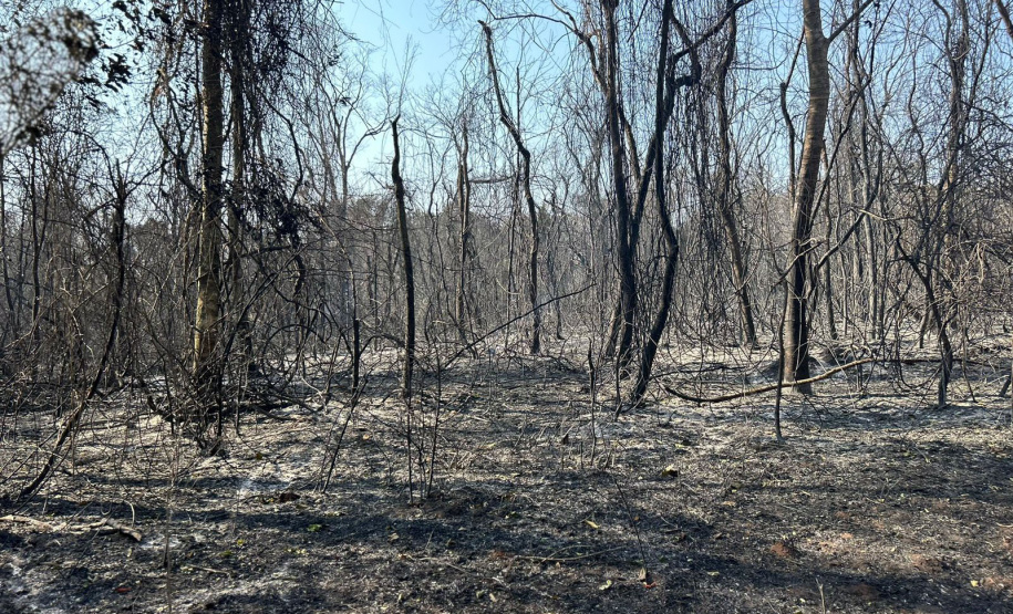 Governo libera fundo de R$ 5 milhões para municípios em estado de emergência