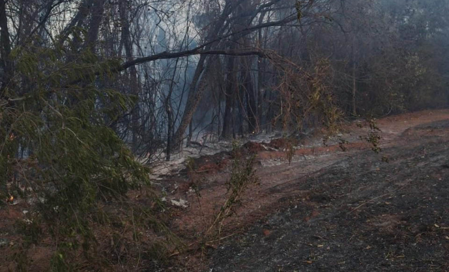 Governo libera fundo de R$ 5 milhões para municípios em estado de emergência