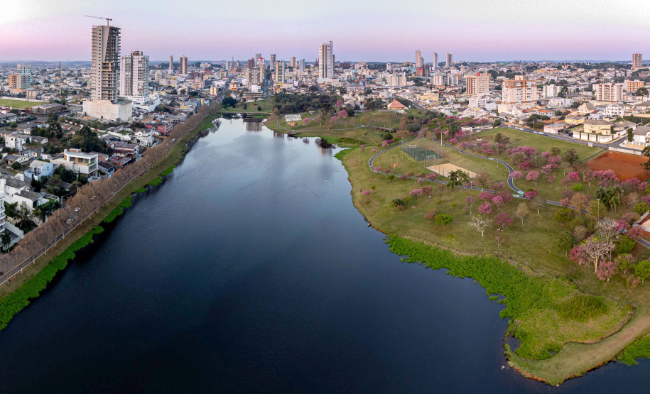De Pinhais a Pinhão, Nota Paraná sorteia R$ 1.000 para moradores de 46 cidades