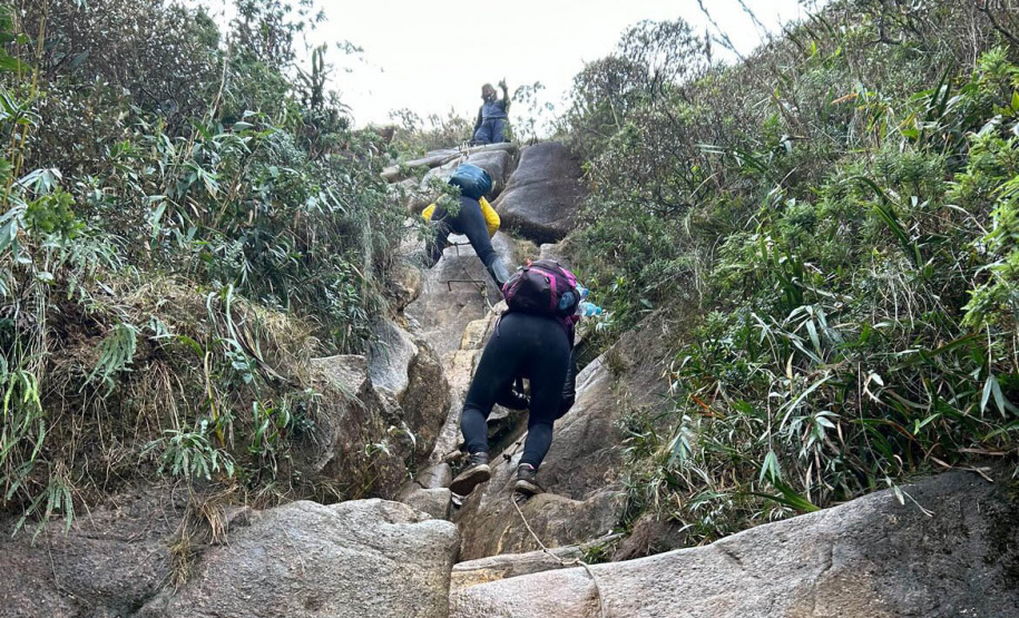Na trilha certa, equipamentos de segurança e cuidados com a fauna e a flora: IAT elaborou um guia de bom comportamento para os usuários de parques estaduais.