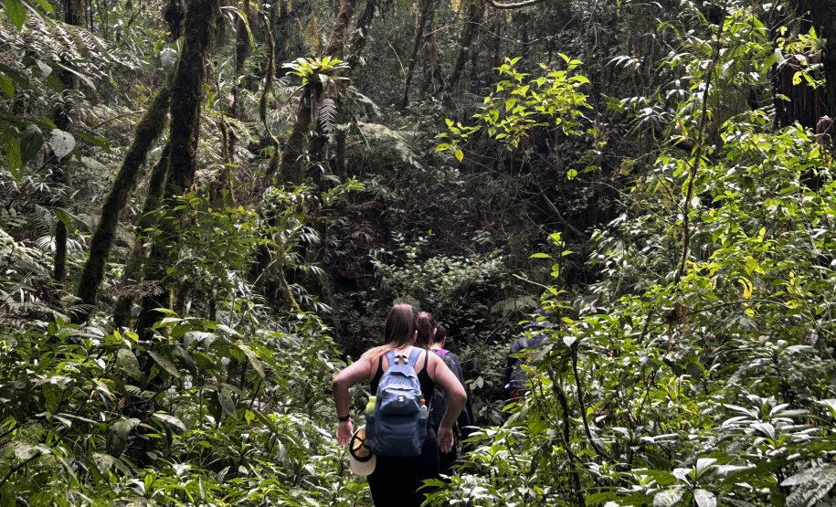 Na trilha certa, equipamentos de segurança e cuidados com a fauna e a flora: IAT elaborou um guia de bom comportamento para os usuários de parques estaduais.