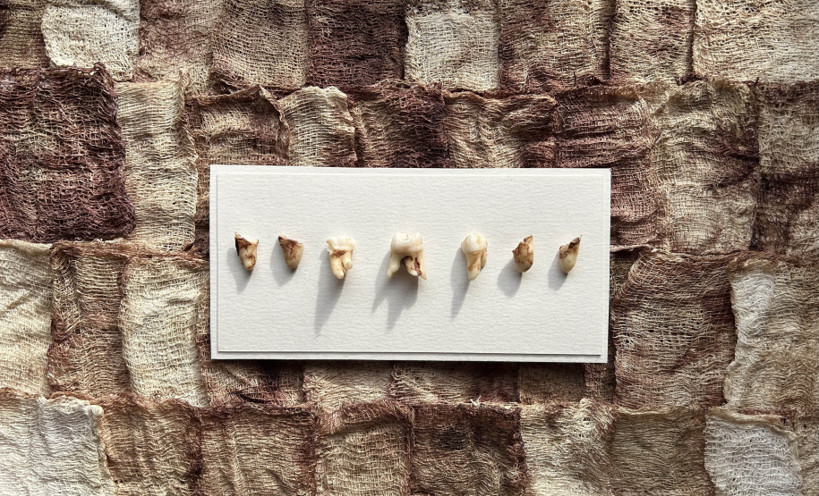 MAC Paraná promove oficinas gratuitas nos próximos dias