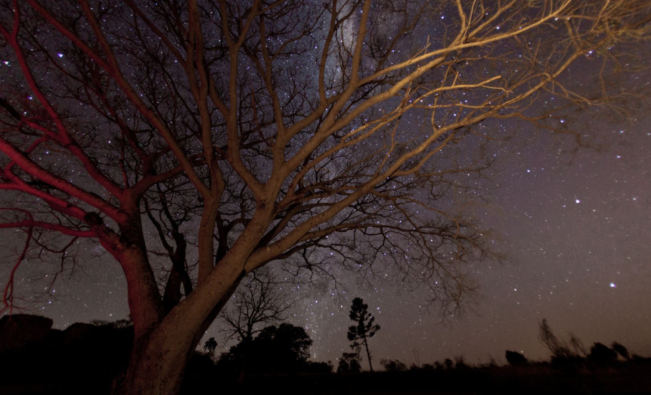 Caminhada Noturna no Parque Estadual de Vila Velha se une ao evento global da NASA