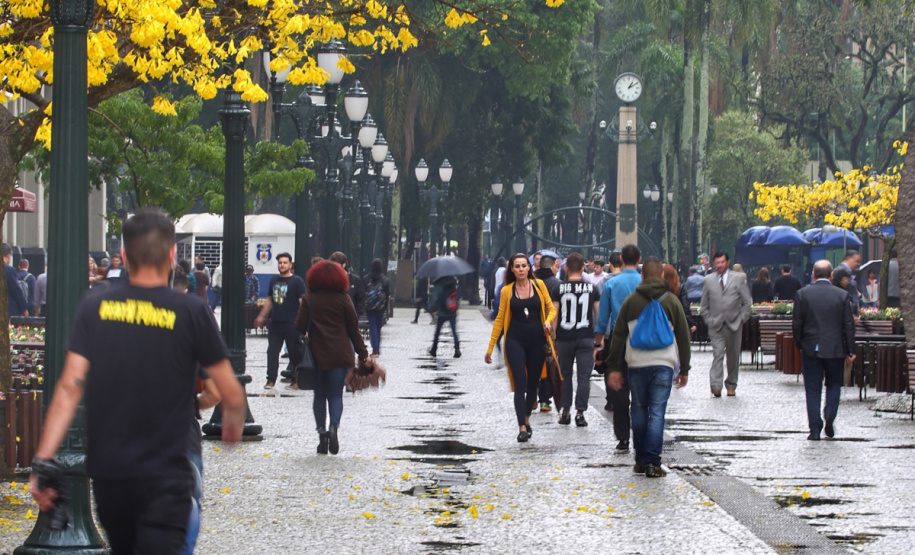 SESA ORIENTA ALERGIAS PRIMAVERA