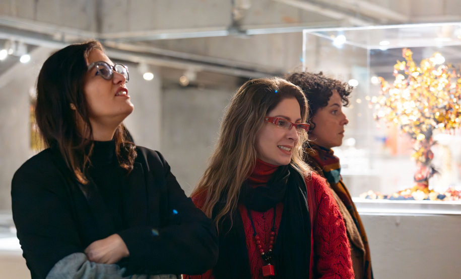 MON realiza encontro para educadores sobre o artista Domicio Pe dros o