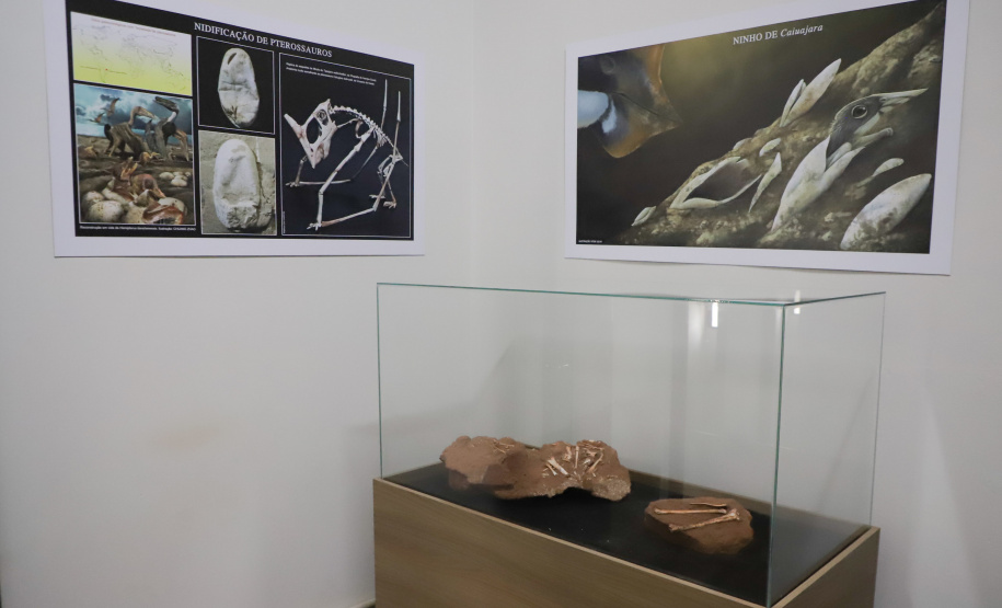 Vale dos Dinossauros: Cruzeiro do Oeste recebe título e destaca Paraná em turismo científico