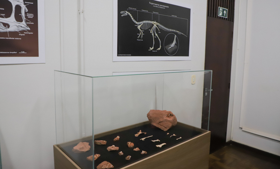 Vale dos Dinossauros: Cruzeiro do Oeste recebe título e destaca Paraná em turismo científico