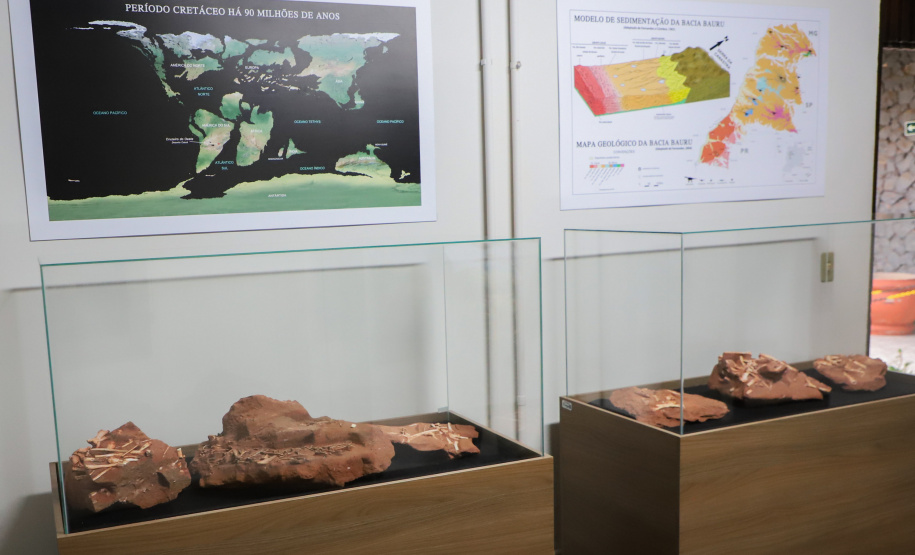 Vale dos Dinossauros: Cruzeiro do Oeste recebe título e destaca Paraná em turismo científico