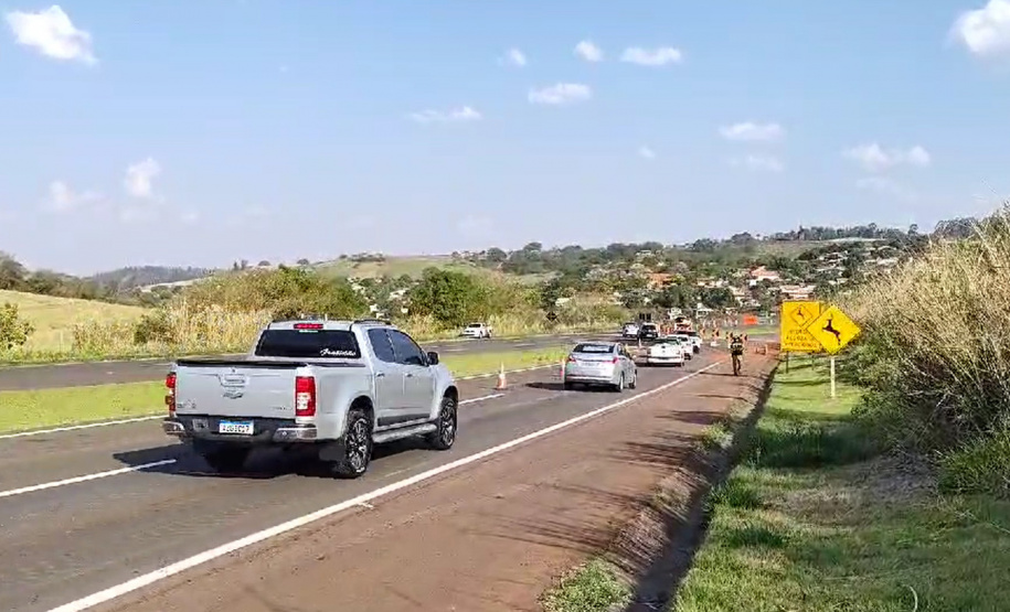 DER PR-445 pare e siga