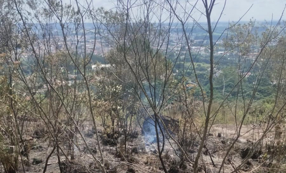 Para tentar amenizar os focos de incêndios ambientais, IAT suspendeu a queima controlada no campo