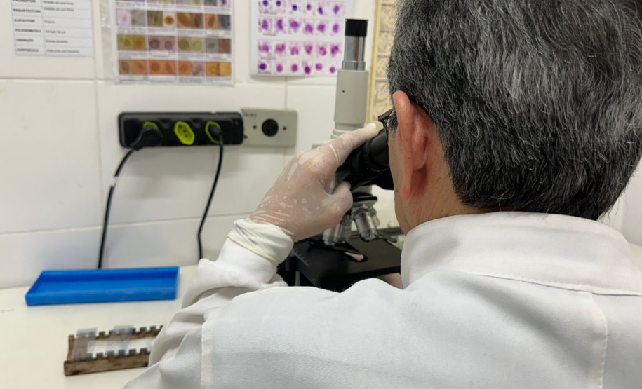 Polícia Penal do Paraná Estão abre as inscrições para o Processo Seletivo Simplificado para área de saúde