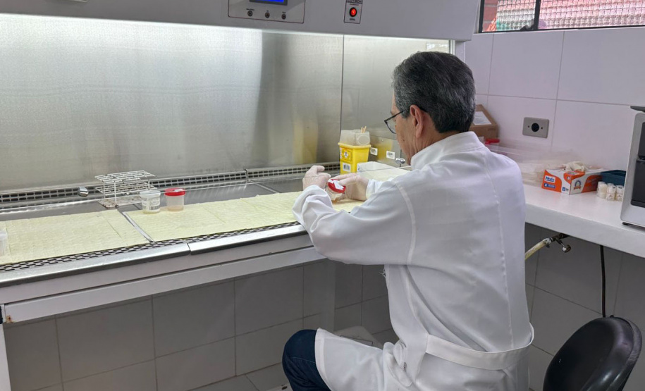 Polícia Penal do Paraná Estão abre as inscrições para o Processo Seletivo Simplificado para área de saúde