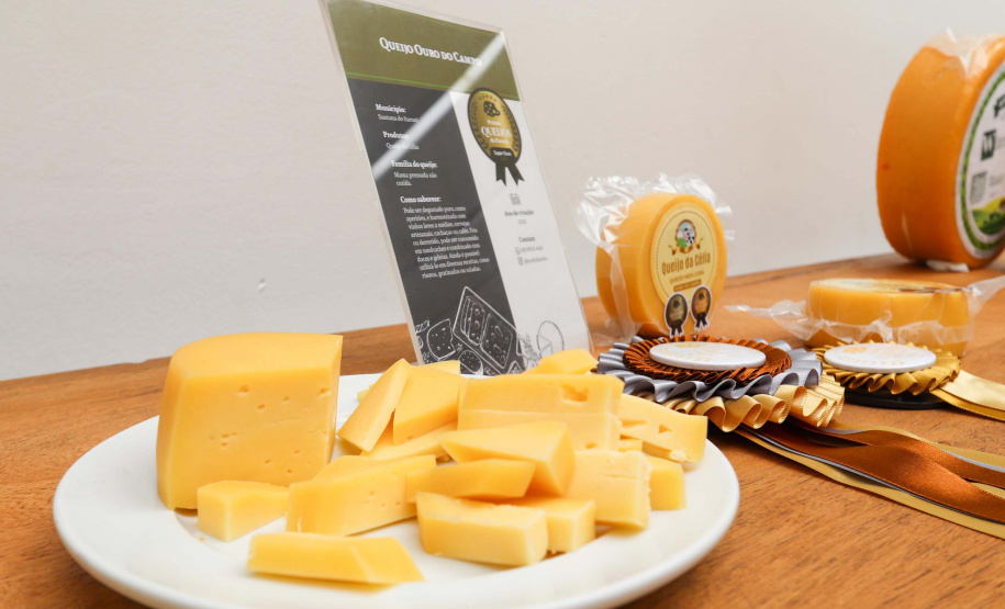 QUEIJOS