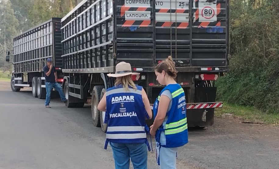 OPERAÇÃO RECEITA ESTADUAL