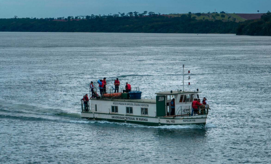 UEM está entre quatro universidades estaduais do País que mais pesquisam biodiversidade