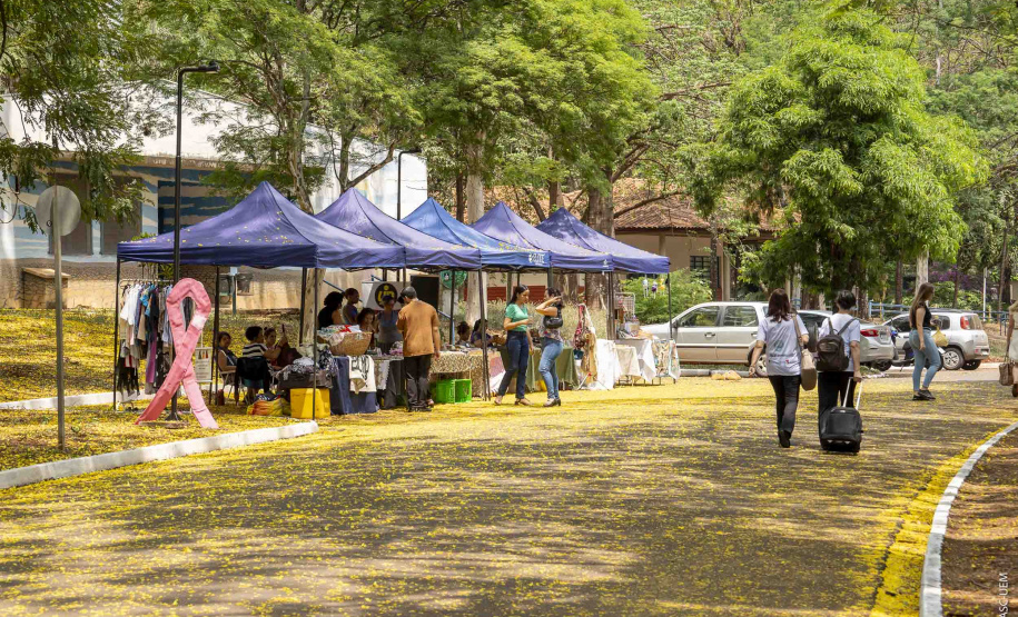 Pavilhão científico encanta visitantes e abre Paraná Faz Ciência na UEM