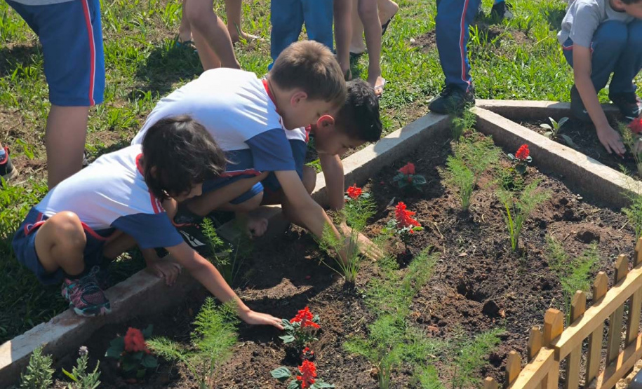 Estudantes de União da Vitória recebem Jardim de Água e Mel da Sanepar