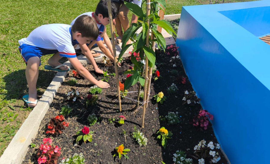 Estudantes de União da Vitória recebem Jardim de Água e Mel da Sanepar