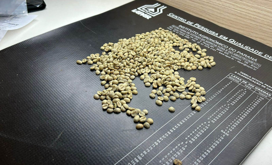 Concurso Café Qualidade Paraná dá início ao julgamento dos lotes inscritos