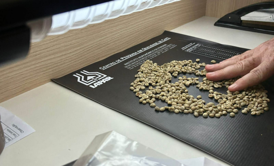 Concurso Café Qualidade Paraná dá início ao julgamento dos lotes inscritos