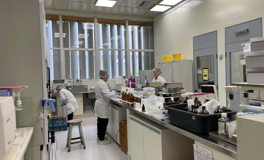 Lacen PR promove oficina para aprimoramento da vigilância laboratorial