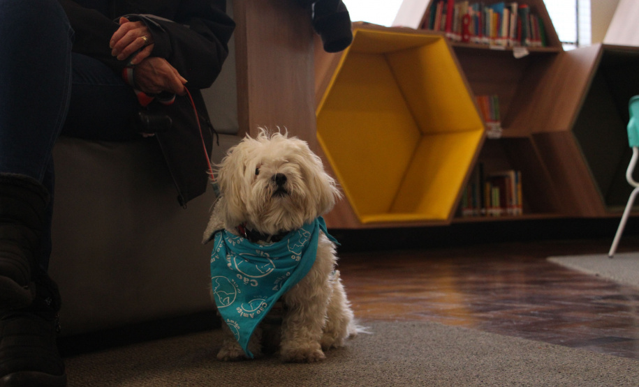 SEEC AGENDA CULTURAL