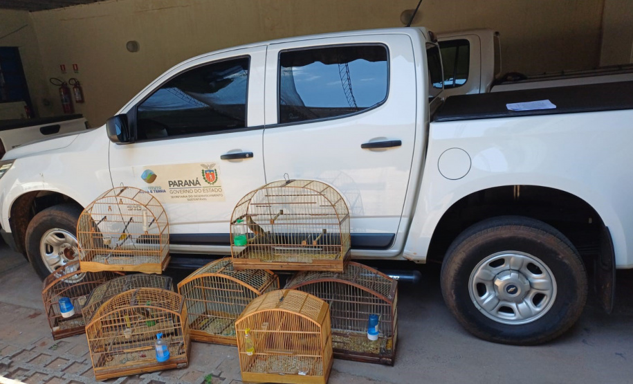 IAT PÁSSAROS UMUARAMA