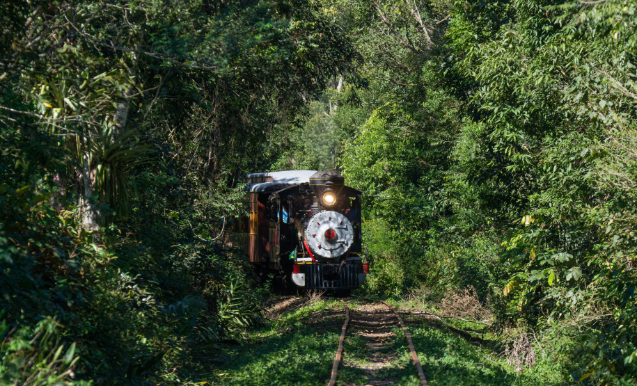 Turismo sobre trilhos: passeios de Natal na locomotiva mais antiga do Paraná já estão à venda