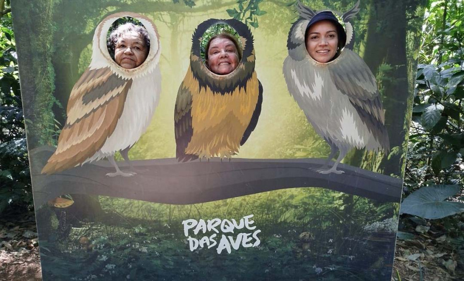 168 paranaenses conhecem as Cataratas do Iguaçu por meio do Programa Paraná + Viagem