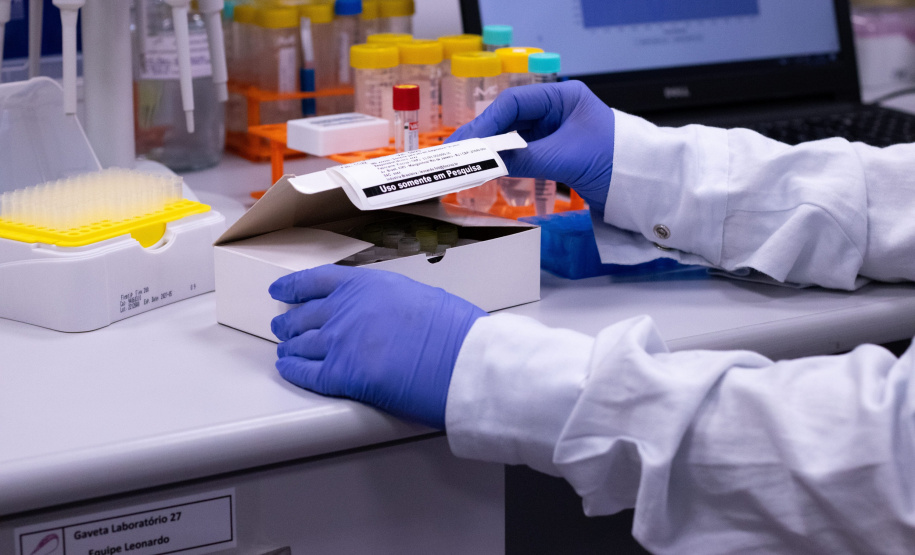 Outubro Rosa: Com apoio do Estado, startup avança no desenvolvimento de kit de diagnóstico de câncer de mama