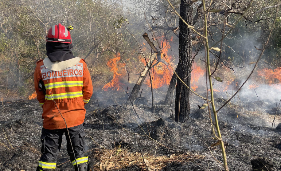 Curso de resposta a desastres prepara bombeiros do Paraná.