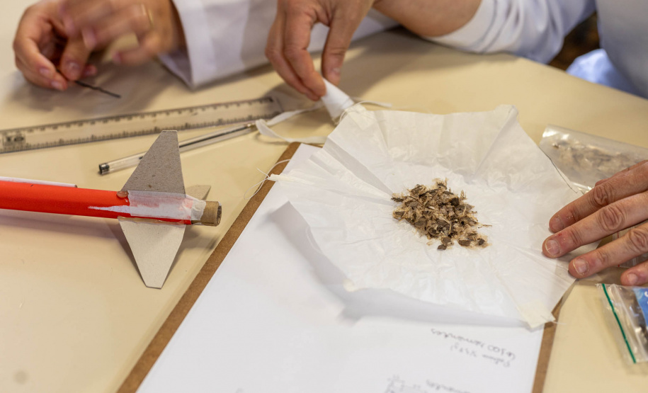 Educação Científica no Paraná: projetos transcendem a sala de aula