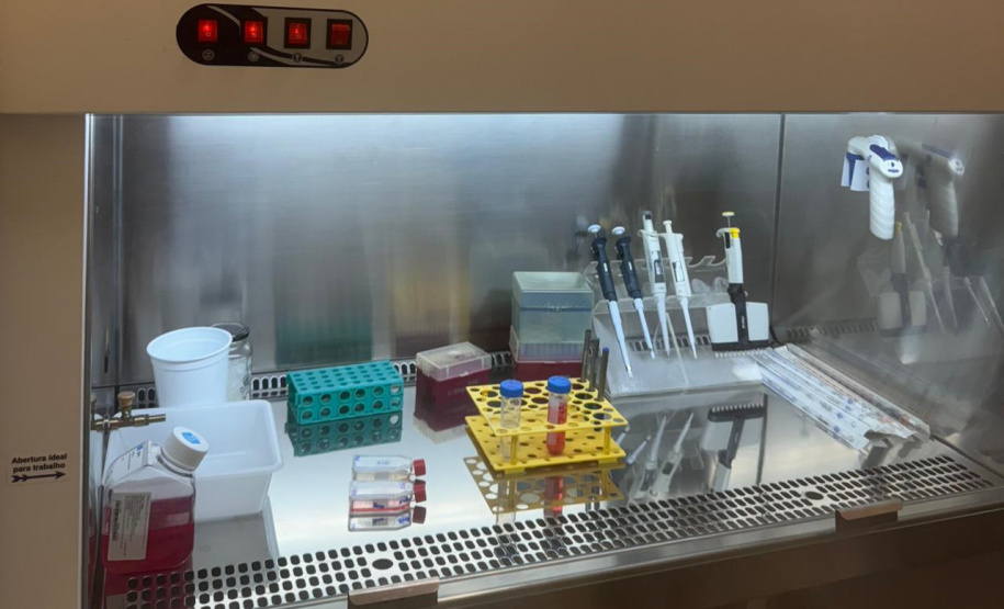 FUNDAÇÃO ARAUCÁRIA PRÓPOLIS CÂNCER