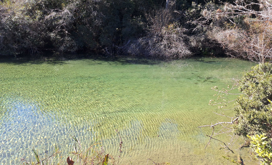 SETU MELHORES PARQUES BRASILEIROS RANKING