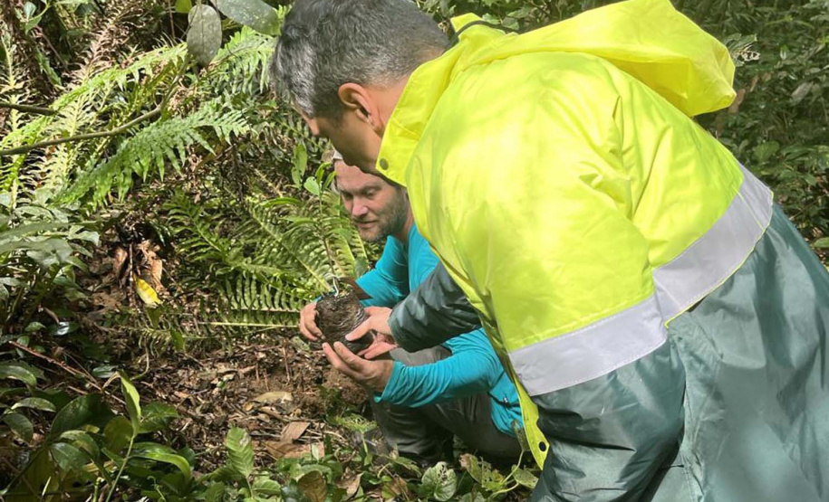 Portos do Paraná encerra outubro com atividades socioambientais no litoral do Estado